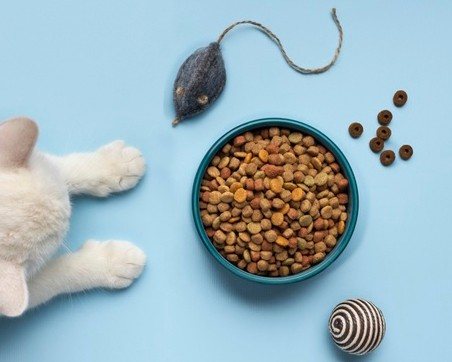 GAGNEZ UN BON D'ACHAT DE 100€ POUR VOTRE ANIMAL